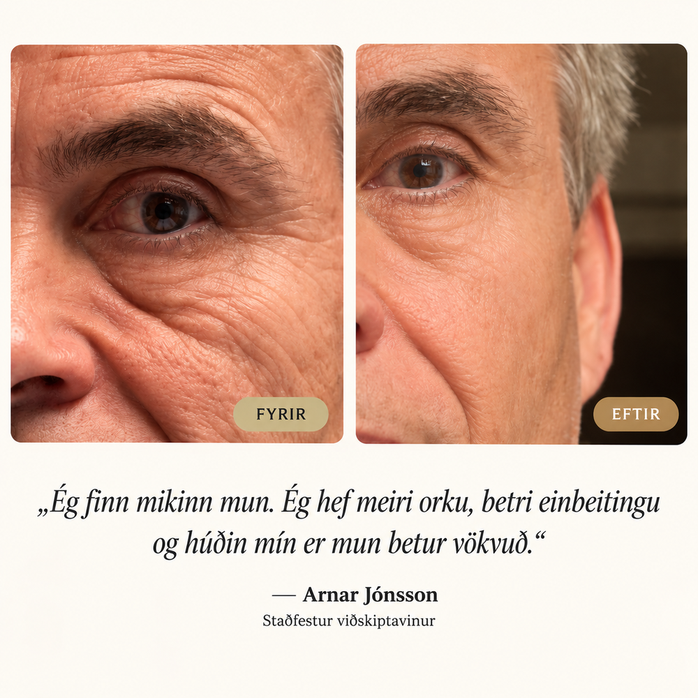 Tímalaus orkublanda - mynd 3